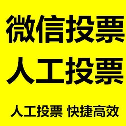 信阳市小程序微信拉票通过什么方式操作有哪些方法操作？